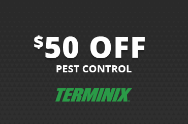 pest-control-50-off