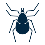 tick icon