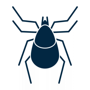 tick icon