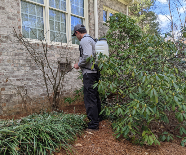 Employee Spraying